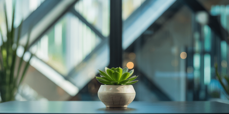 contact - DOC Infotech